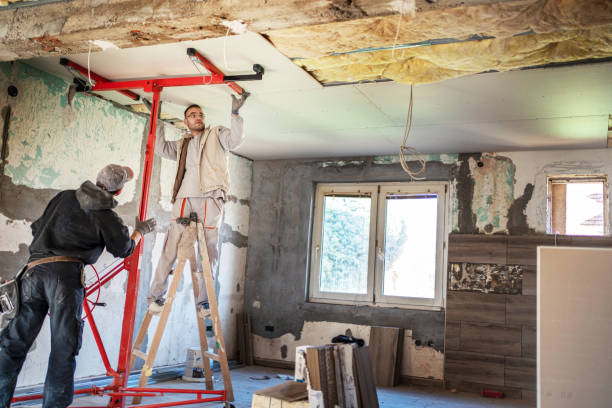 Best Insulation Removal  in Buna, TX